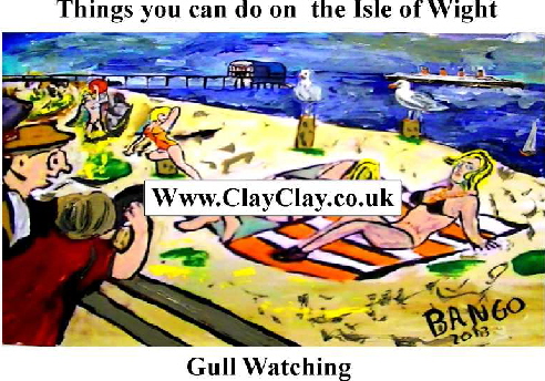 'Gull Watching' 'Things you can't and can do in  IW' Postcard based on original painting by BB Bango