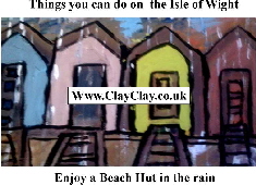 'Enjoy a Beach Hut in the rain' 'Things you can't and can do in IW' Postcard based on original painting by BB Bango