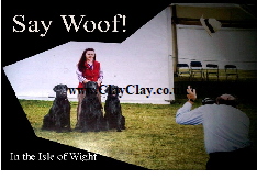 'Say Woof'