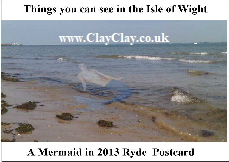 'Mermaid in 2013 Ryde Postcard'.