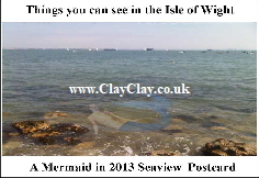 'Mermaid in 2013 Seaview Postcard'.
