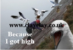 SC1 High