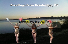 BC2 'Greetings from Isle of Wight Views' Saucy Brikini postcard Bembridge Harbour