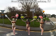 BC4 'Greetings from Isle of Wight Views' Saucy Brikini postcard Nettlestone