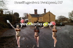 BC7 'Greetings from Isle of Wight Views' Saucy Brikini postcard Puckpool