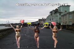 BC9 'Greetings from Isle of Wight Views' Saucy Brikini postcard Springvale