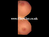 'Letter B study for a Nude Alphabet' by BB Bango.   Up to 25 Letters or numbers put onto a postcard �5 and E mailed back to you.