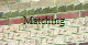 Brick Matching 