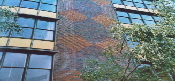 Same brick different mortar!. School St Johns Wood, London. Architect D Mills