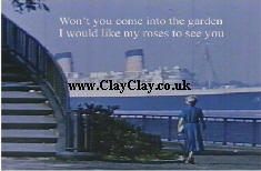 SC36 Roses