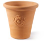Small Flower pot with Rose (2nd) . 300mm High. Diameter 260mm (at top). Direct from Clay Clay Shop £14.99.