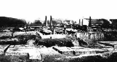 Brick Yard Purrington