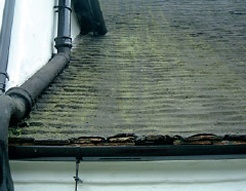 Modern interlocking concrete tiles spoil the appearance of a small lodge (top), while the �turnerised� coating of hessian and bitumen (centre) not only looks awful but traps moisture and invites frost damage. A recent development, spray-on foam (above), may secure the tiles, but this too traps moisture and is extremely difficult to remove, making it unlikely that any of the original tiles on this roof will ever be reused